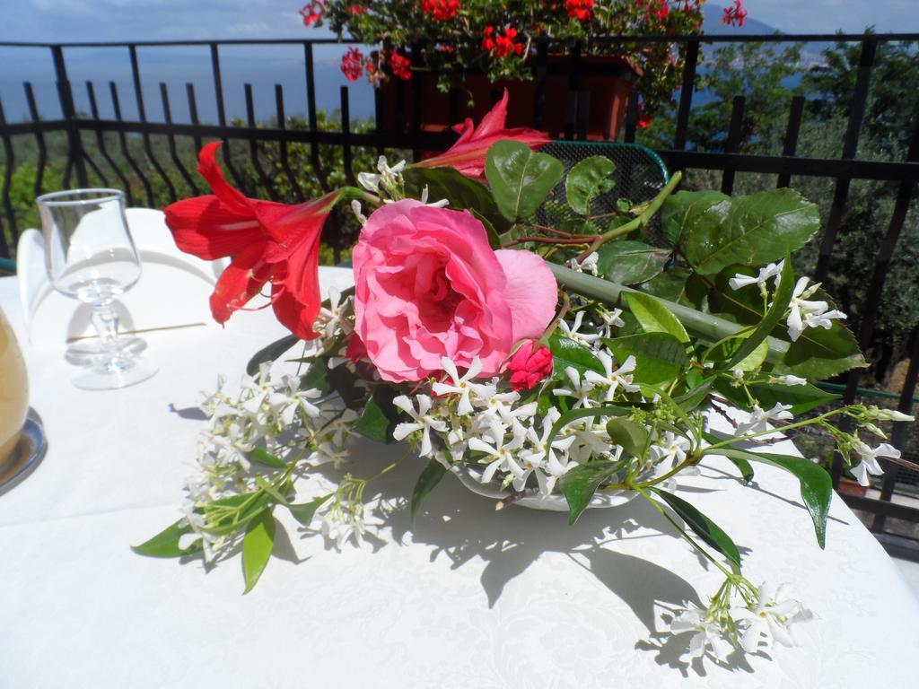 Ancelle Sorrento - Casa D'Accoglienza Hotel Castellammare di Stabia Buitenkant foto